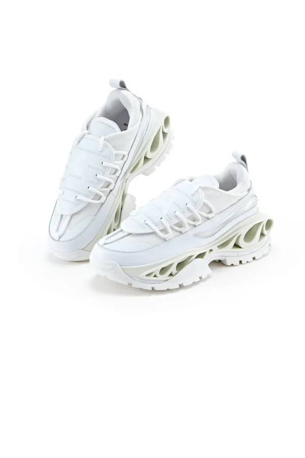 ginger-lion-white-943216 GINGER LION WHITE